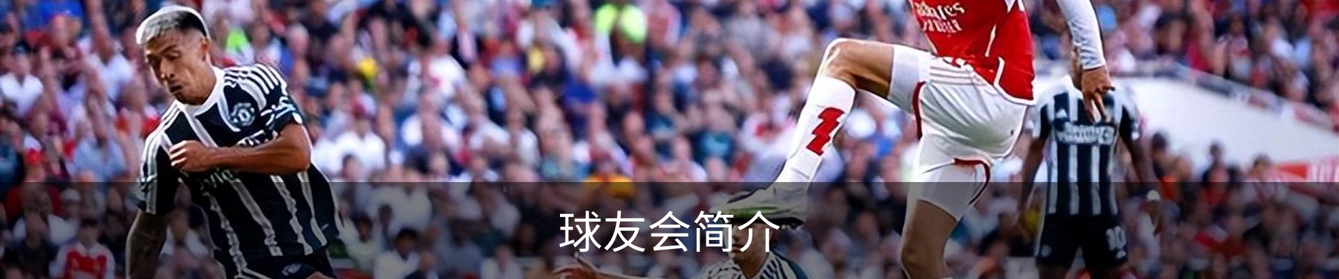 球友会简介